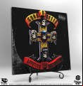 Guns N' Roses - Appetite For Destruction 3D Vinyl