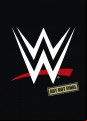 WWE - The Top 25 Rivalries In Wrestling History
